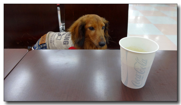 20140515085207.JPG