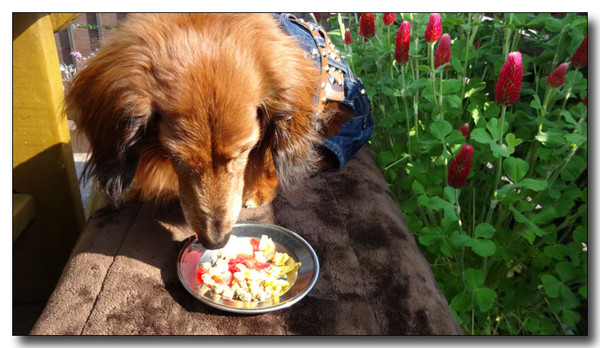 20140516013216.JPG