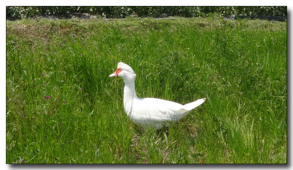 20140516015530.JPG