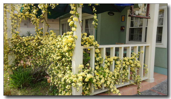 20140517211413.JPG