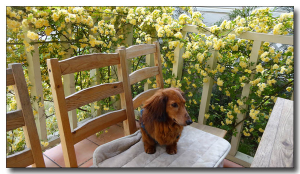 20140517211438.JPG