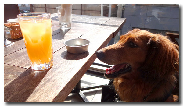 20140517212422.JPG