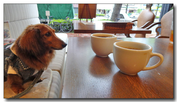 20140519123731.JPG