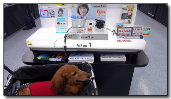 20140519125217.JPG 20140519125217.JPG