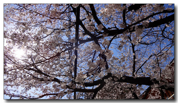 20140411093230.JPG