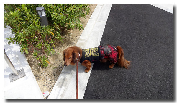 20140413151730.JPG