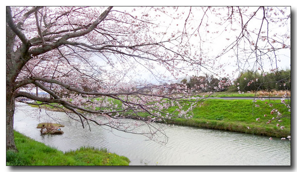 20140417102007.JPG
