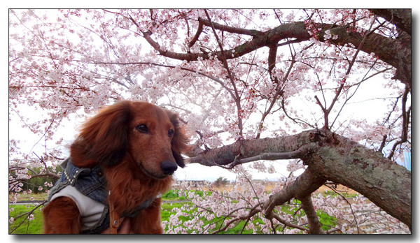 20140417102008.JPG