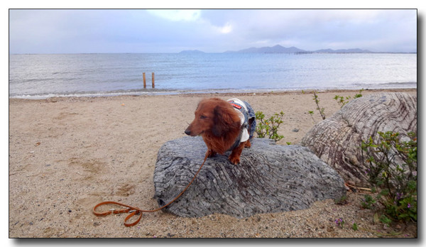 20140417102035.JPG