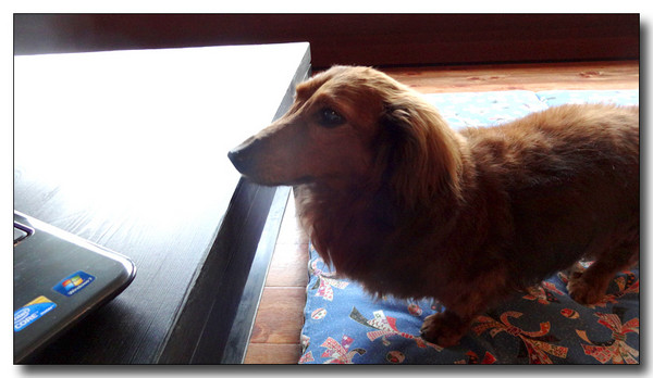 20140417102102.JPG