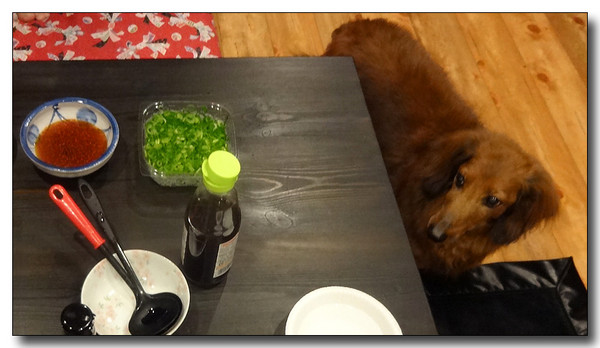 20140417102356.JPG