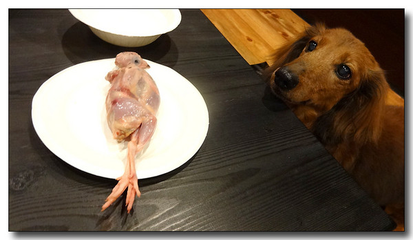 20140417102422.JPG