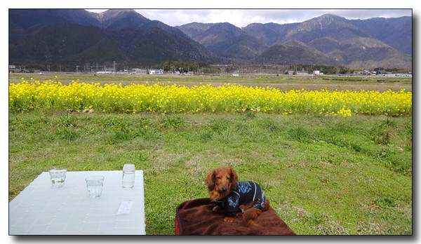 20140421132012.JPG
