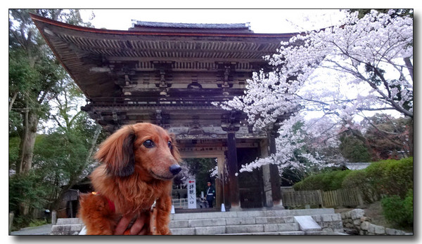20140423104519.JPG