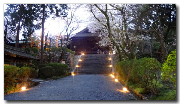 20140423104522.JPG
