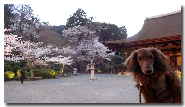 20140423104523.JPG