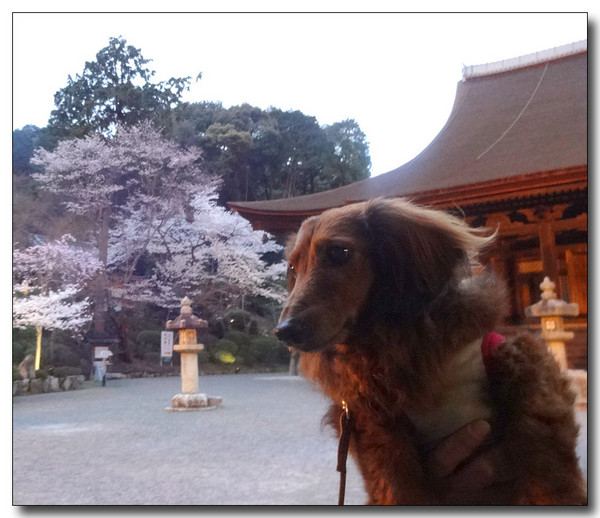 20140423104557.JPG