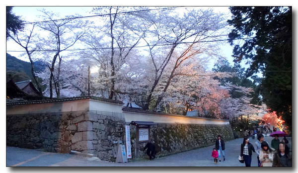 20140423104558.JPG