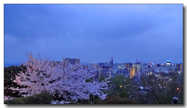 20140423104610.JPG