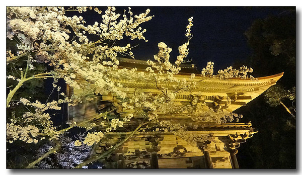 20140423110401.JPG