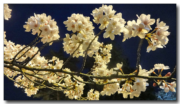 20140423110826.JPG