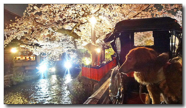 20140424002012.JPG