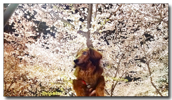 20140424002015.JPG