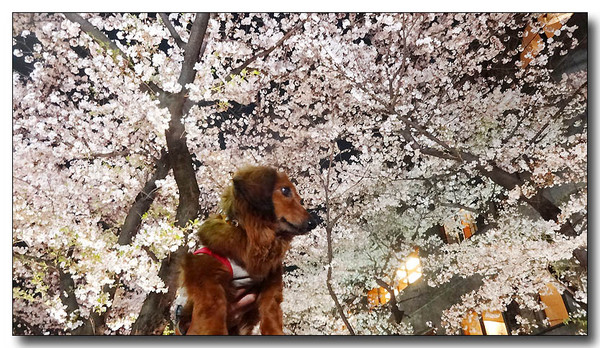 20140424002016.JPG