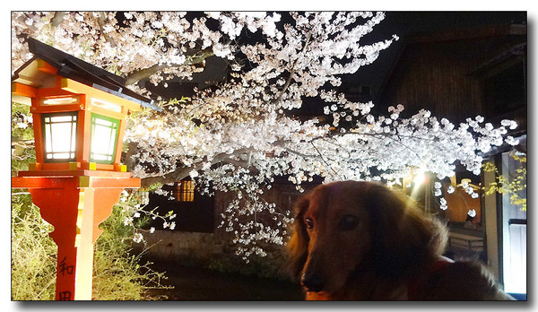 20140424002050.JPG
