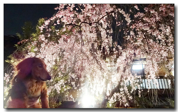 20140424002051.JPG