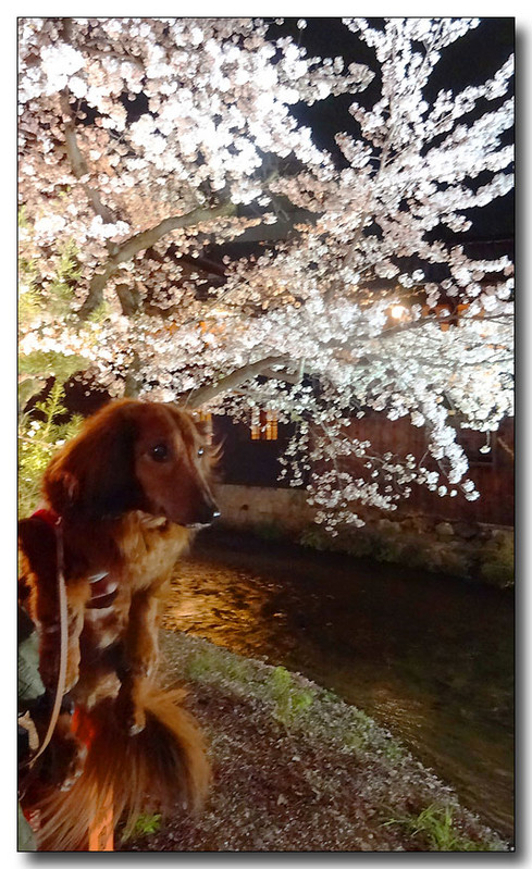 20140424002100.JPG