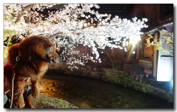 20140424002114.JPG