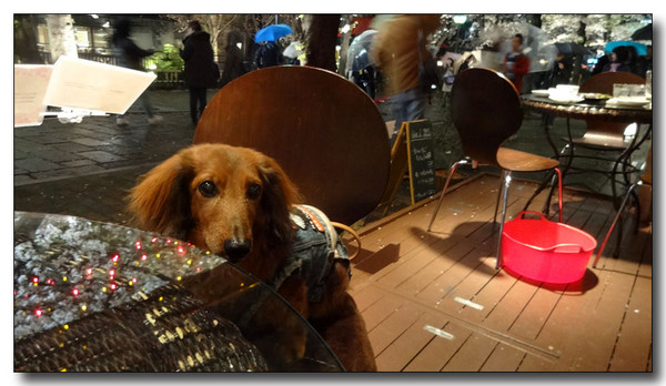 20140424002657.JPG
