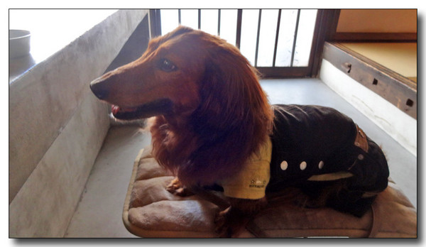 20140427220107.JPG