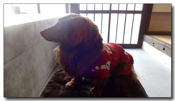 20140428070157.JPG