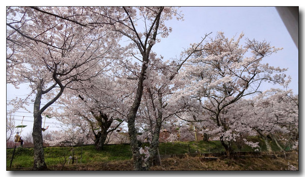 20140430215807.JPG