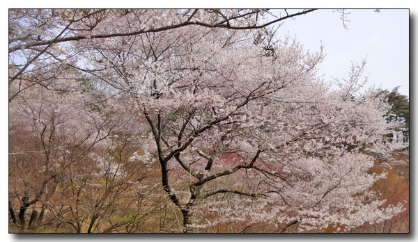 20140430215808.JPG