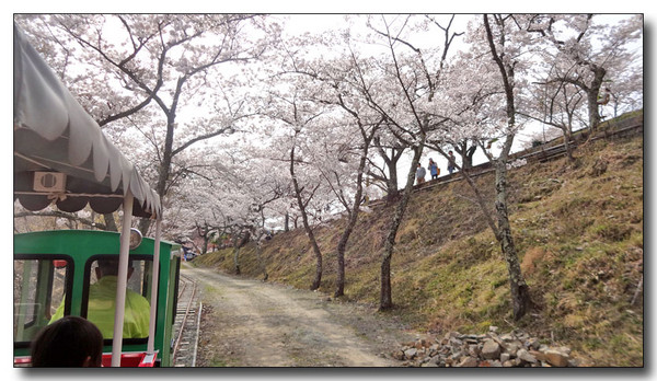 20140430215829.JPG
