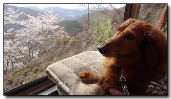 20140501001503.JPG