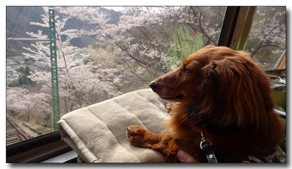 20140501001504.JPG