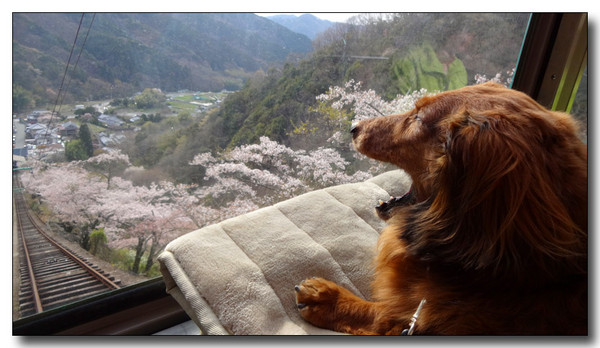 20140501001519.JPG