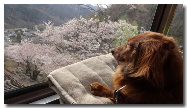 20140501001520.JPG