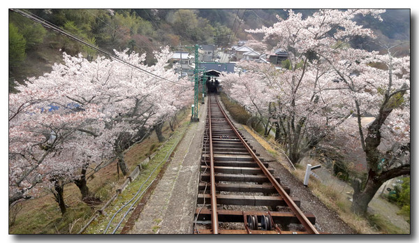 20140501001521.JPG