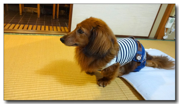 20140623052006.JPG