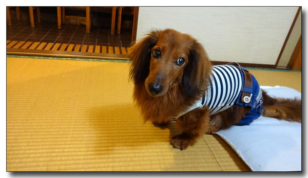 20140623052007.JPG