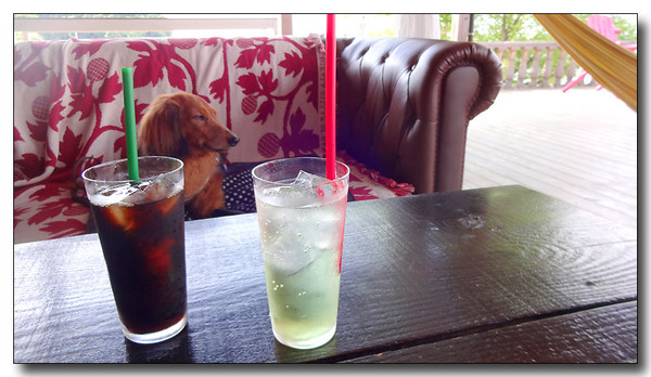 20140623151133.JPG