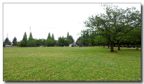 20140623160036.JPG