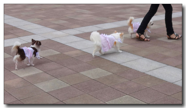 20140623160104.JPG