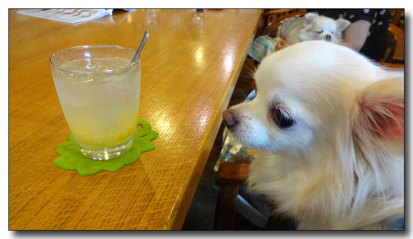 20140623160107.JPG