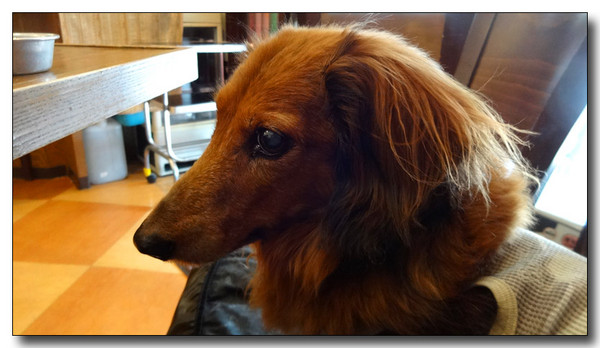 20140630112932.JPG